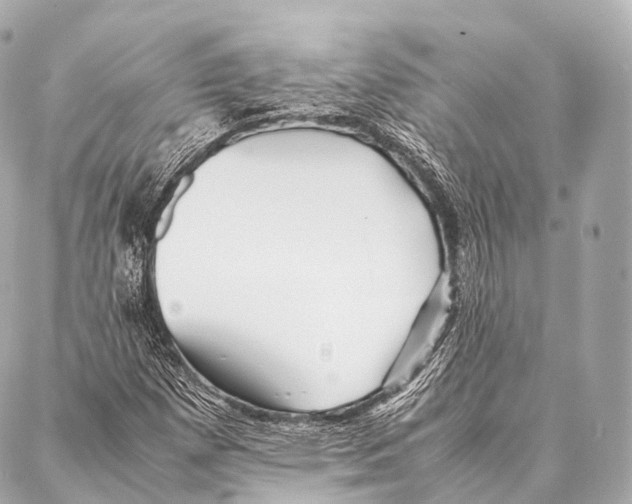 X0000087021257200705141847