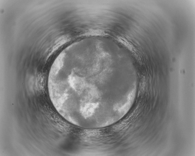 X0000087021258200705141847