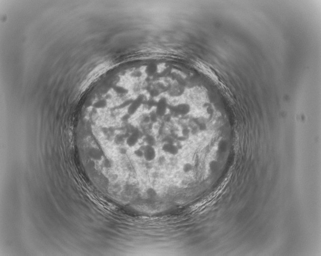 X0000087021259200705141847