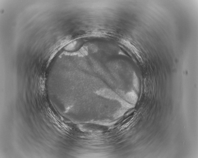 X0000087021260200705141847