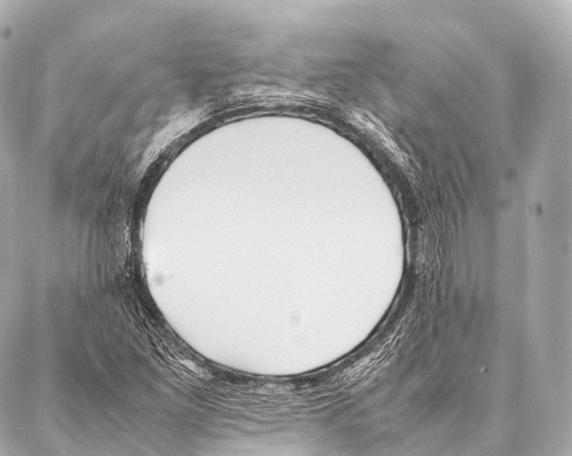 X0000087021261200705141847