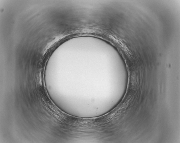 X0000087021262200705141847