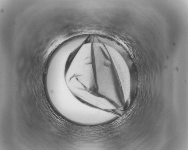 X0000087021263200705141847