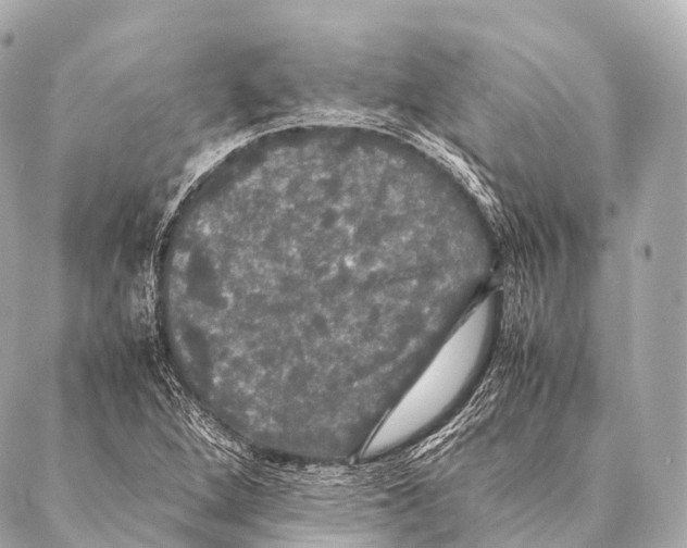 X0000087021264200705141847