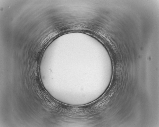 X0000087021265200705141847