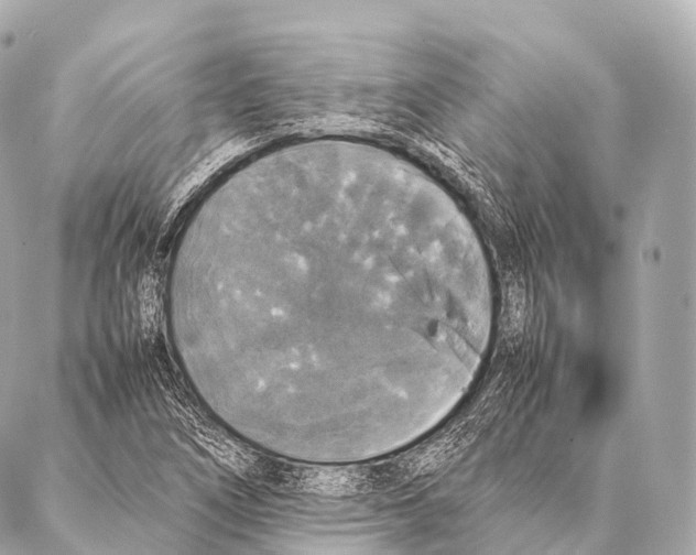 X0000087021266200705141847