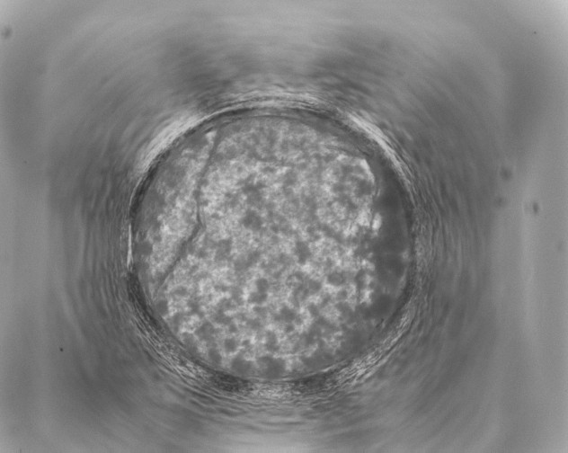 X0000087021267200705141847