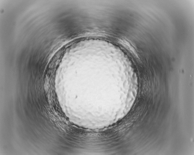 X0000087021268200705141847