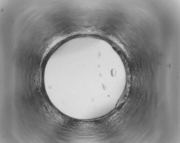 X0000087021270200705141847