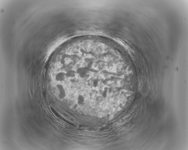 X0000087021271200705141847