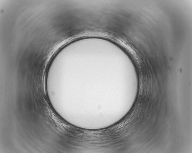 X0000087021272200705141847