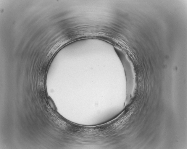 X0000087021273200705141847