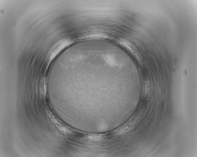 X0000087021274200705141847