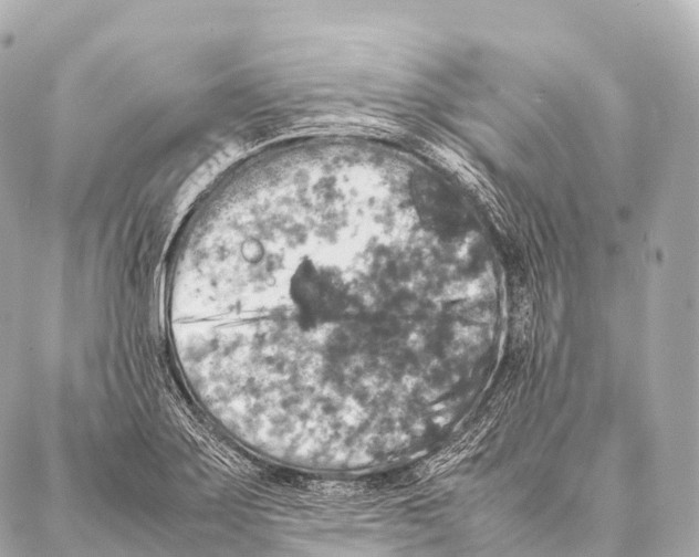 X0000087021275200705141847