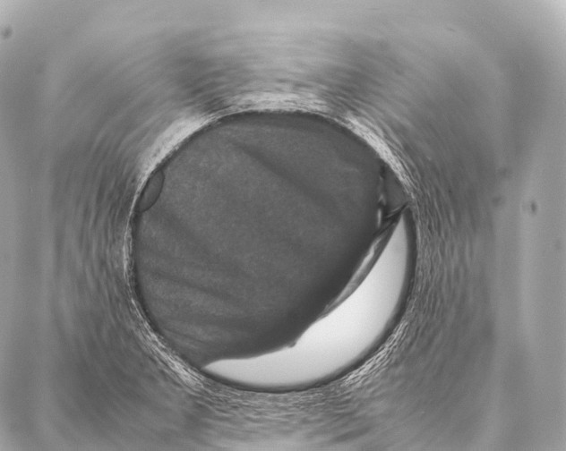 X0000087021277200705141847