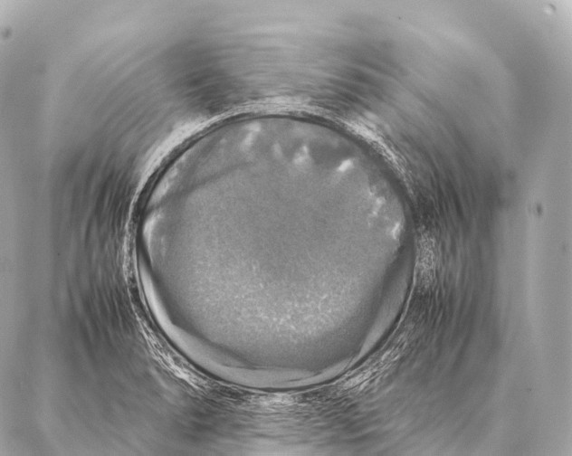 X0000087021278200705141847