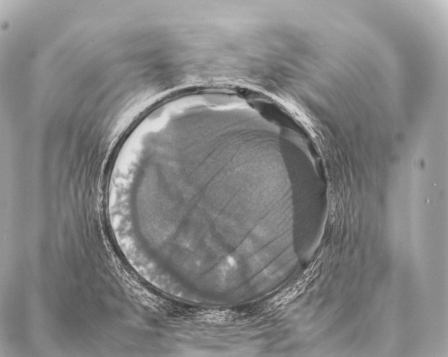 X0000087021279200705141847