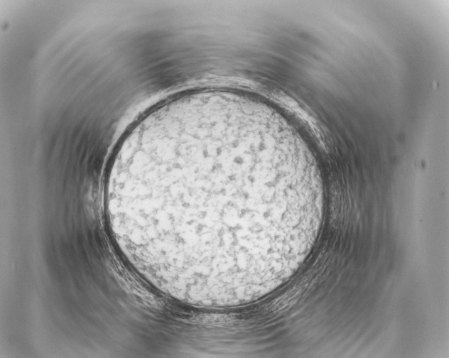 X0000087021280200705141847