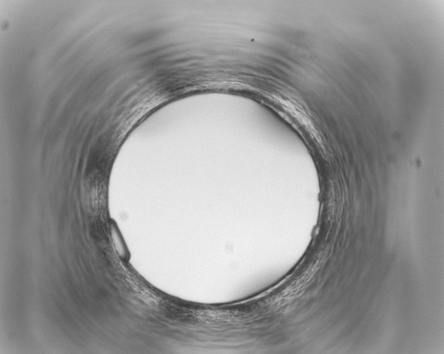 X0000087021281200705141847