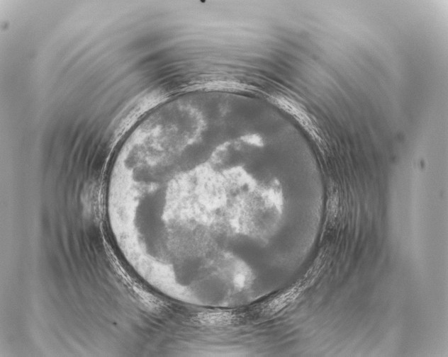 X0000087021282200705141847