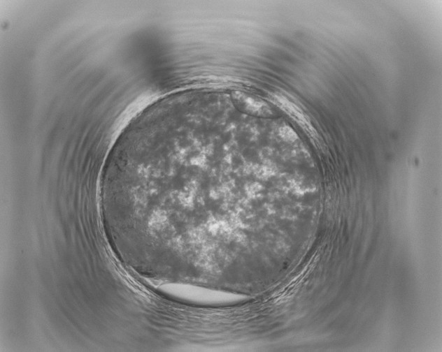 X0000087021283200705141847