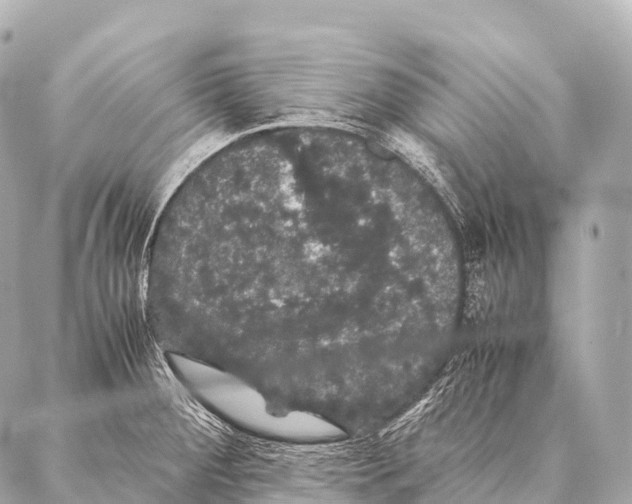 X0000087021284200705141847