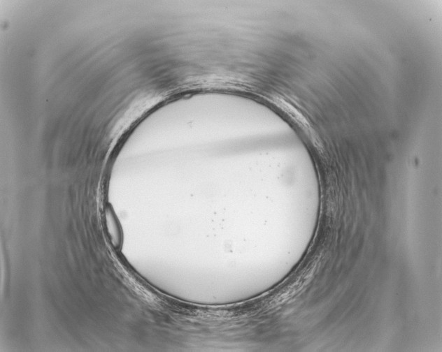 X0000087021285200705141847