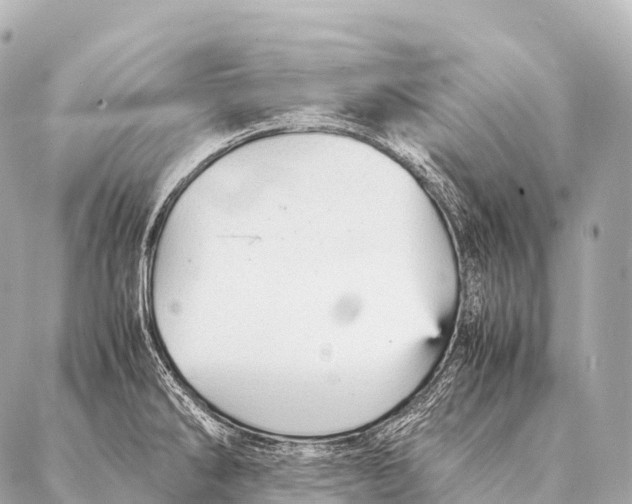 X0000087021286200705141847