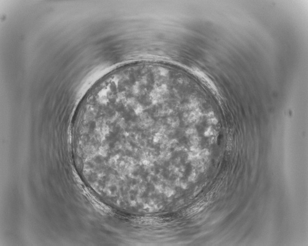 X0000087021287200705141847