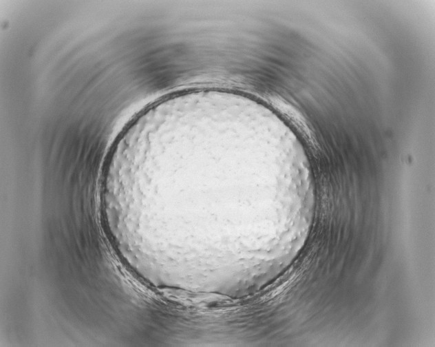 X0000087021288200705141847