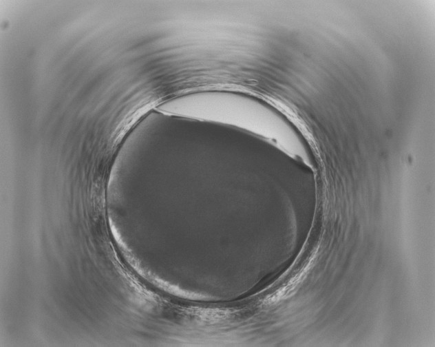 X0000087021289200705141847