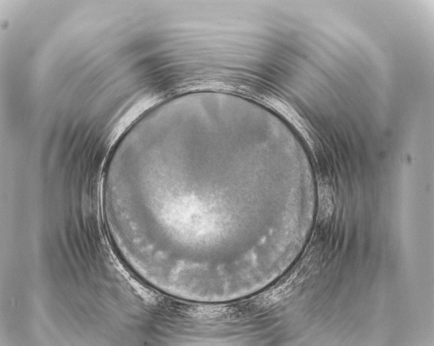 X0000087021290200705141847