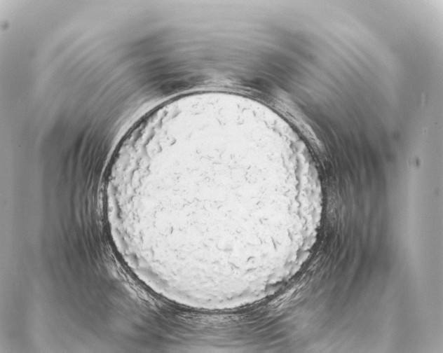 X0000087021292200705141847