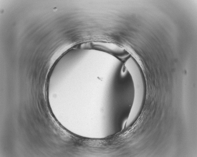 X0000087021293200705141847