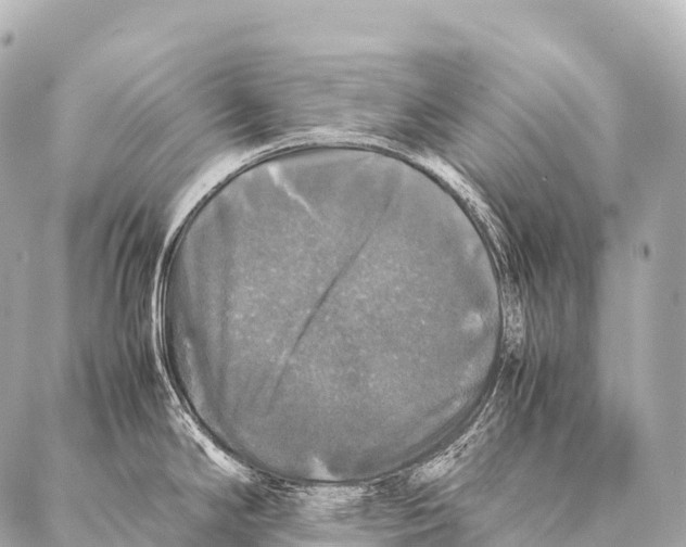 X0000087021294200705141847