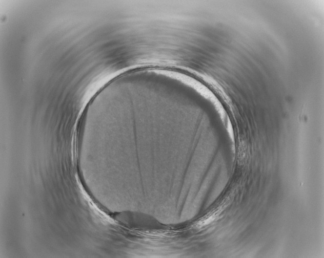 X0000087021295200705141847