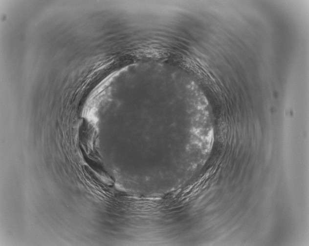 X0000087021297200705141846