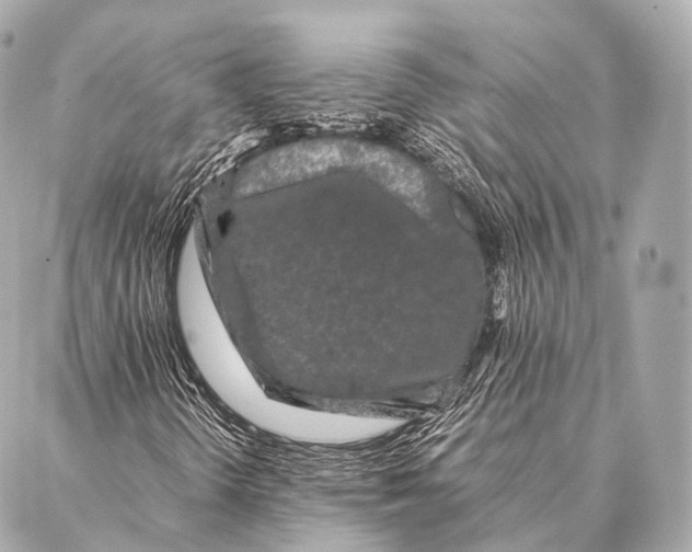 X0000087021298200705141846