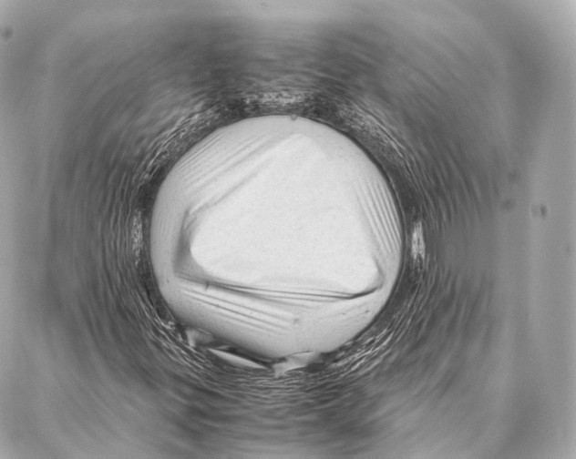 X0000087021299200705141846