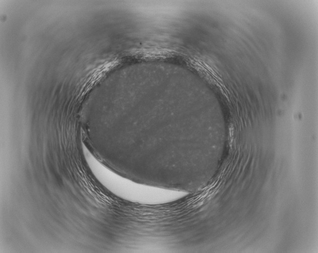 X0000087021300200705141846