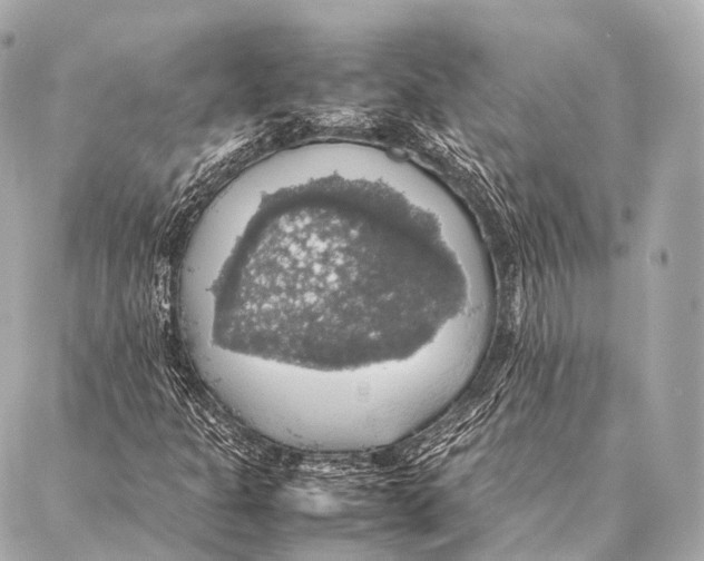 X0000087021301200705141846