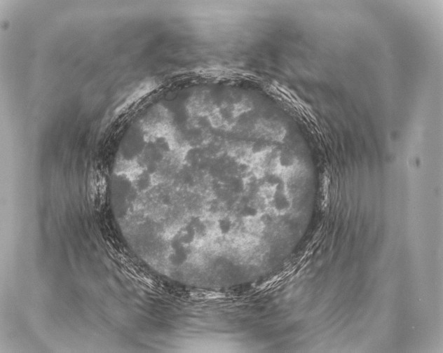 X0000087021302200705141846