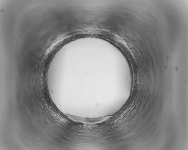 X0000087021304200705141846