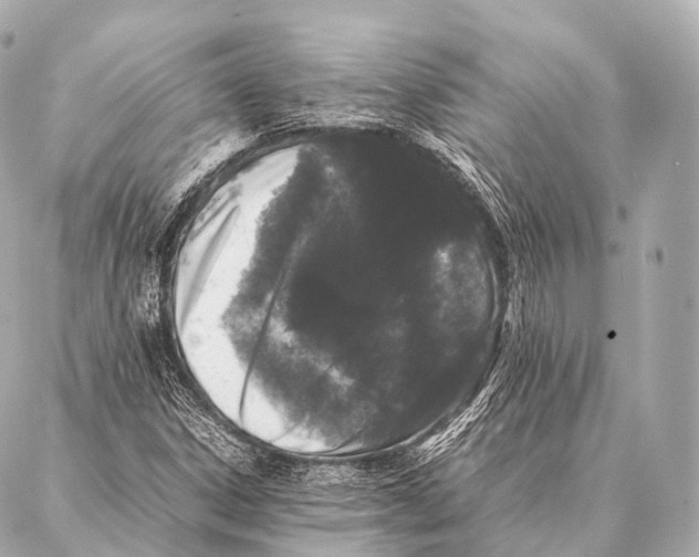 X0000087021306200705141846