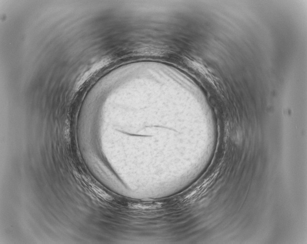 X0000087021307200705141846