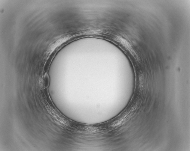 X0000087021308200705141846