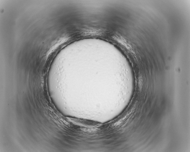 X0000087021309200705141846