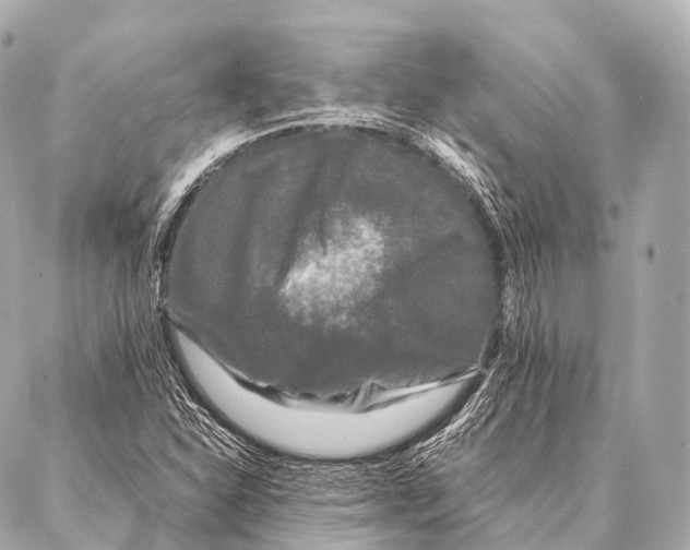 X0000087021310200705141846