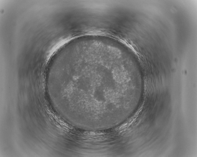 X0000087021311200705141846