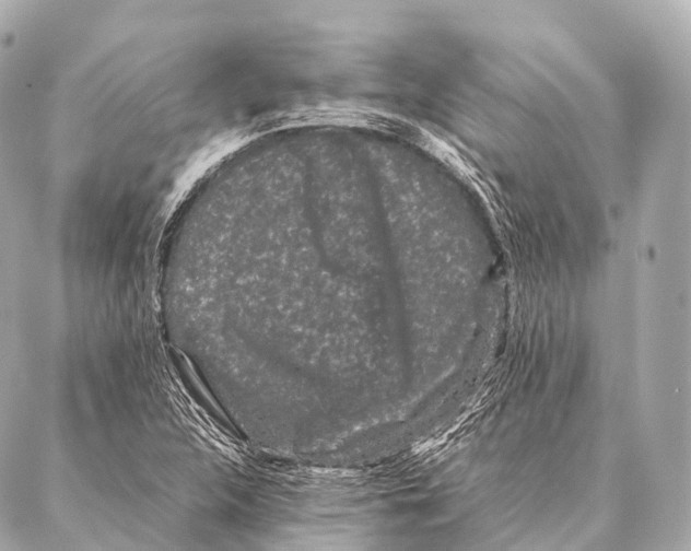 X0000087021312200705141846